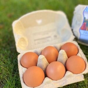 Pack of 6 Free Range Eggs Tray
