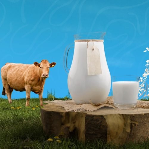 PHOTO-2024-10-09-22-08-40